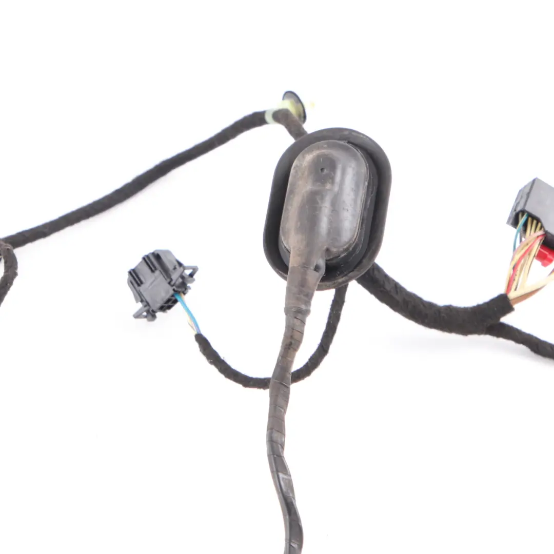 Volkswagen VW Passat B6 Door Harness Loom Cable Wiring Rear Left N/S 3C4971693KJ