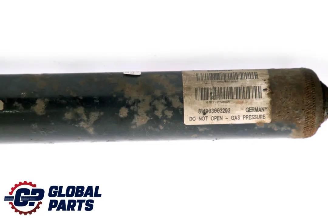 Left Right N/O/S Shock Absorber Damper BMW 3 E93 Convertible Rear - SKU 6780195-4 - Part number 6780195
