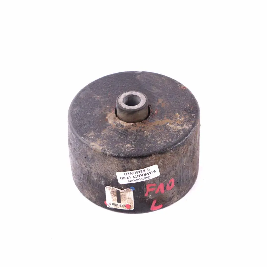 Amortiguador Vibraciones BMW F10 F11 F12 Eje Trasero Izquierdo N/S 42HZ 6852835