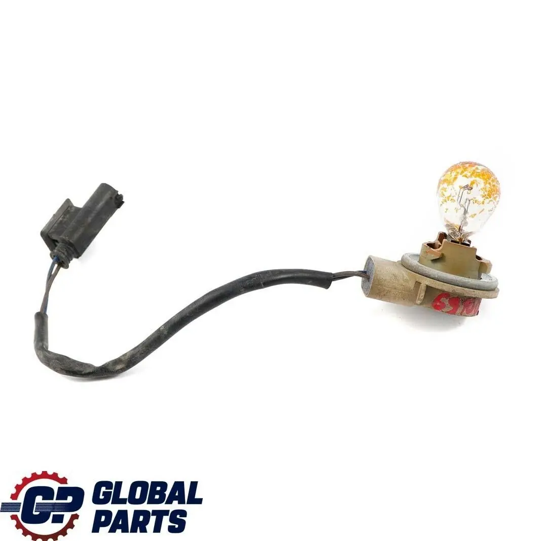 BMW X5 Series E53 Xenon Bulb Socket Turn Indicator With Cable