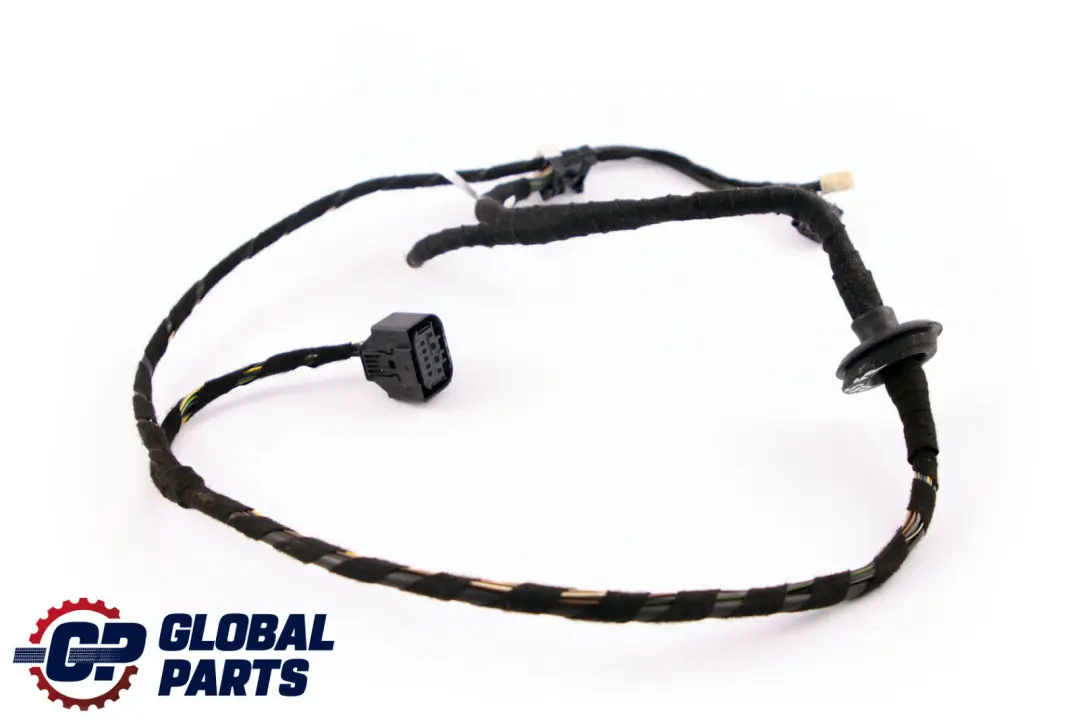 BMW 7 Series E65 Cable Harness Loom Front Door Wiring Left Right N/O/S 6920292