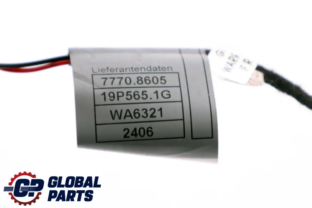 Door Handle Lighting BMW E81 E87 Cable Wiring LED Right Front Rear O/S 6933278