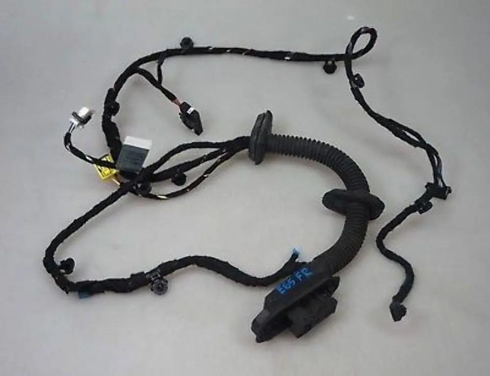 BMW E65 E66 Mazo de cables derecho Puerta delantera 6934028