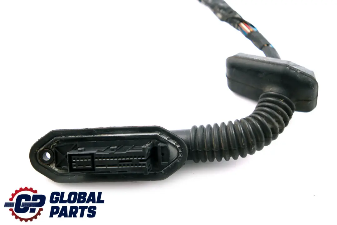 BMW 3 Series E46 Convertible Wiring Driver's Side Door Cable Harness 6936307