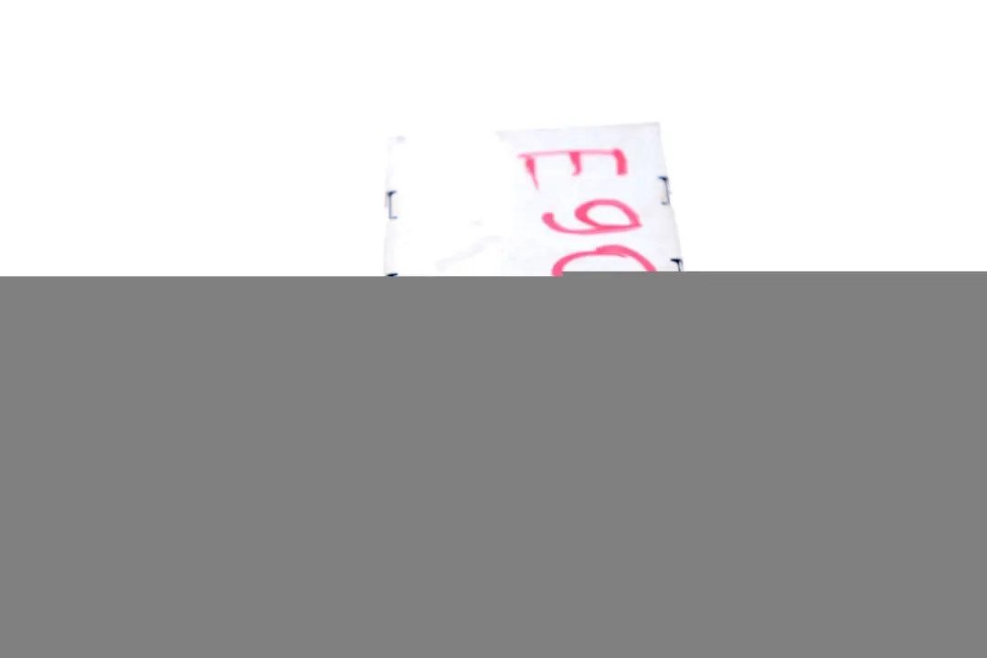 BMW E81 E87 E90 Hands Free Electronics Charging Bluetooth Module MULF 6950089