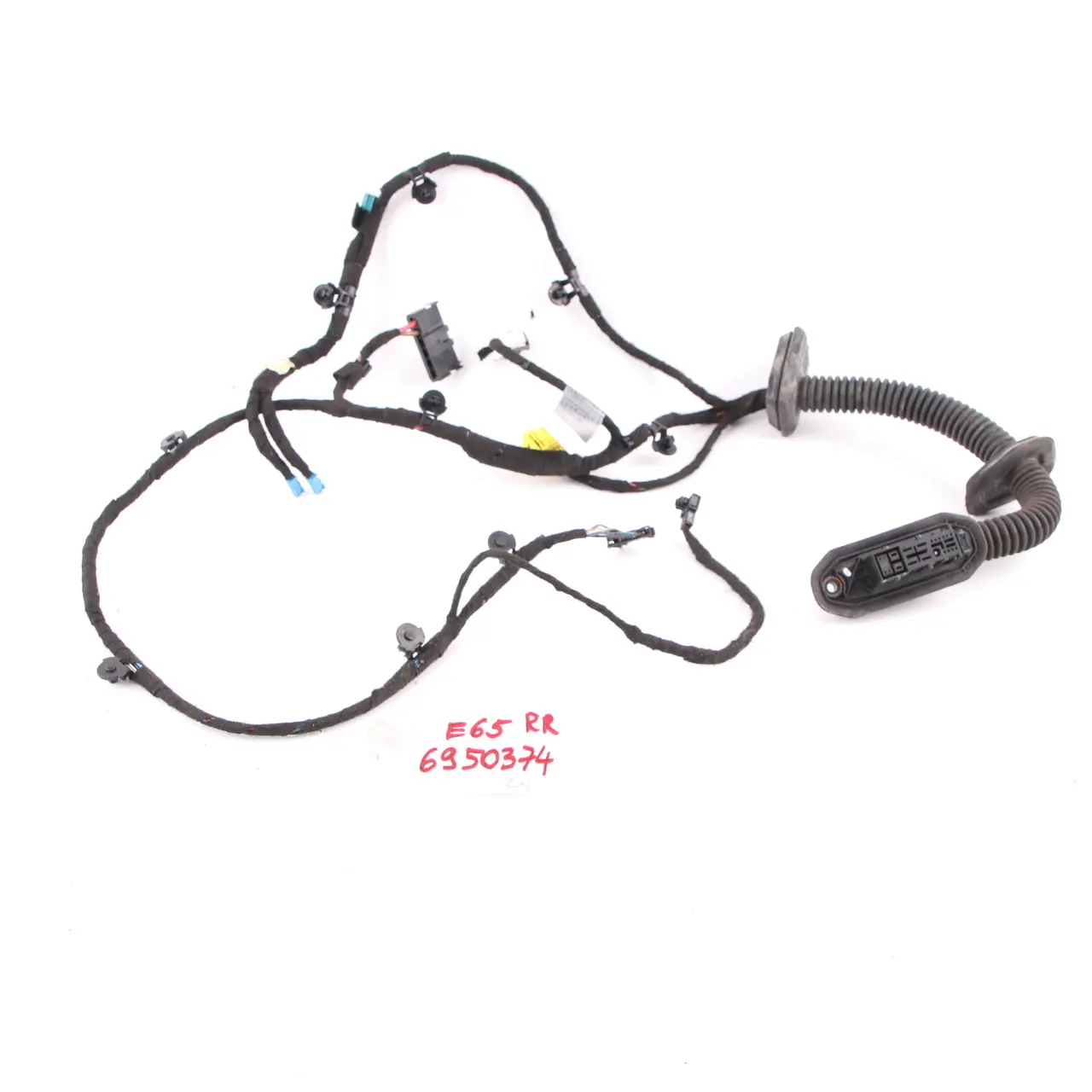 Cable puerta BMW E65 Loom trasera derecha Mazo de cables 6950349