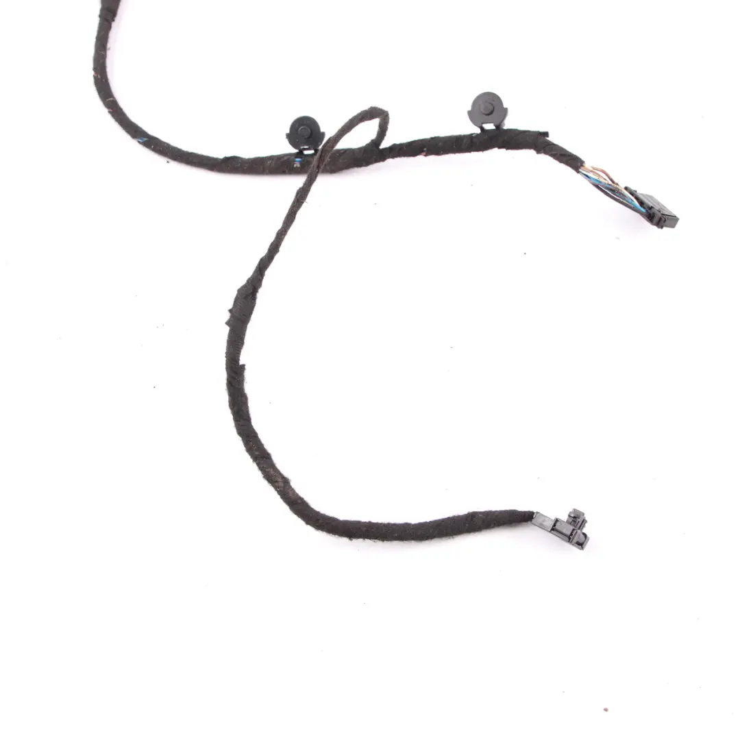 Cable puerta BMW E65 Loom trasera derecha Mazo de cables 6950349