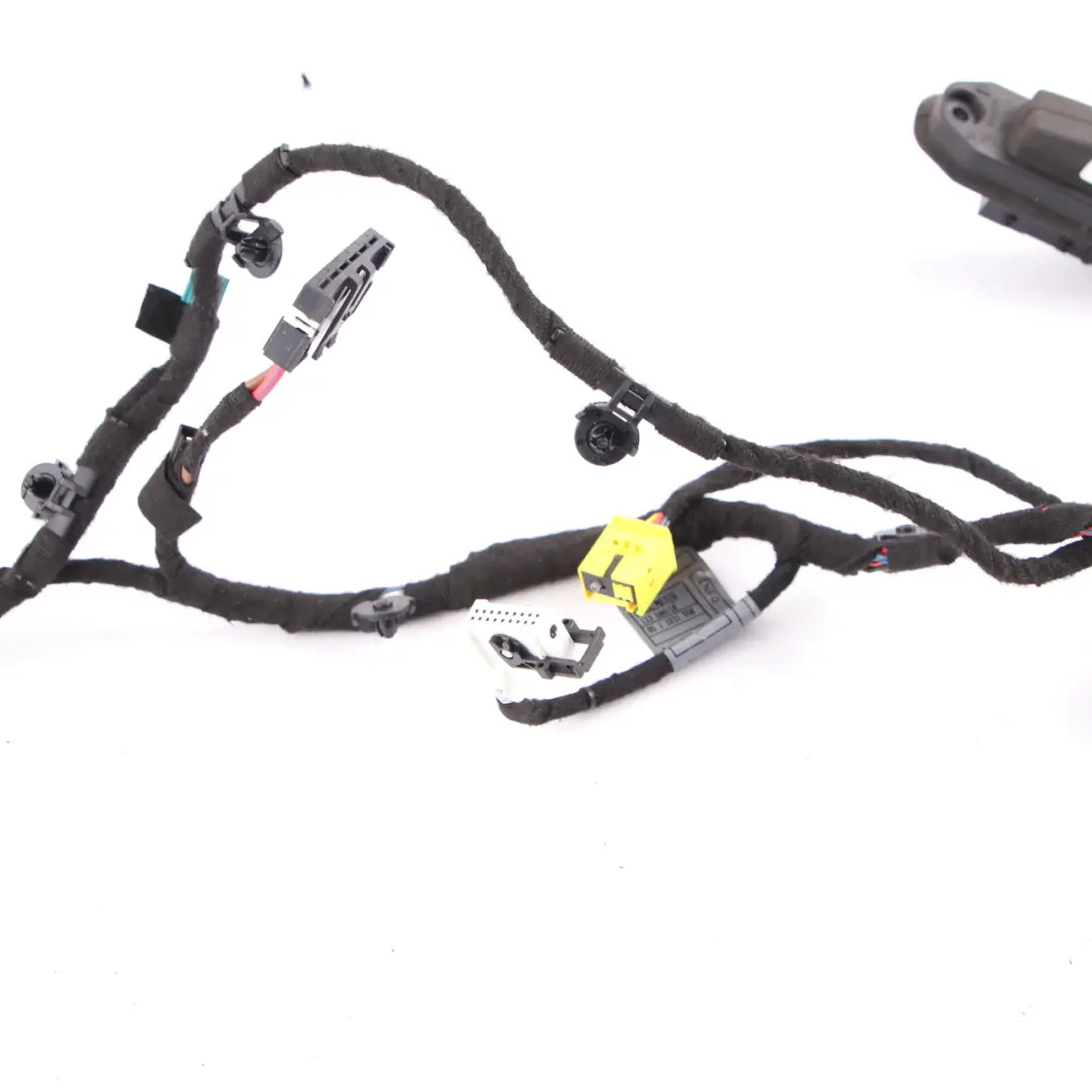 Cable puerta BMW E65 Loom trasera derecha Mazo de cables 6950349