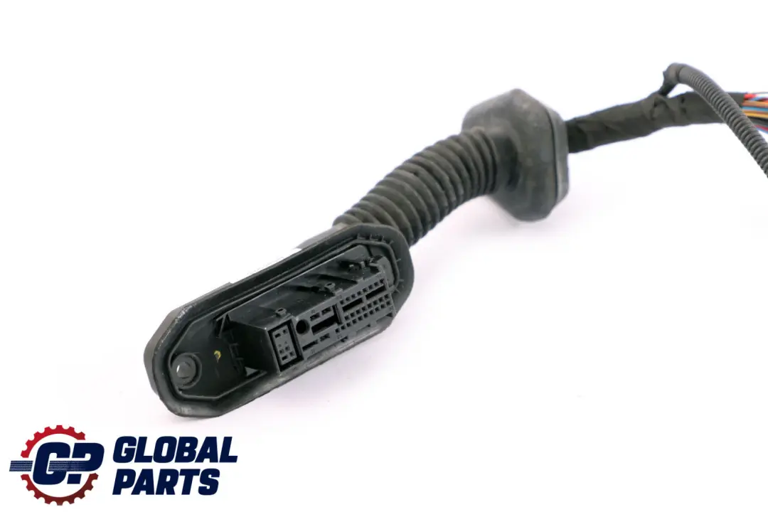 BMW E60 E61 Puerta Delantera Mazo De Cables Lado Pasajero 6966549