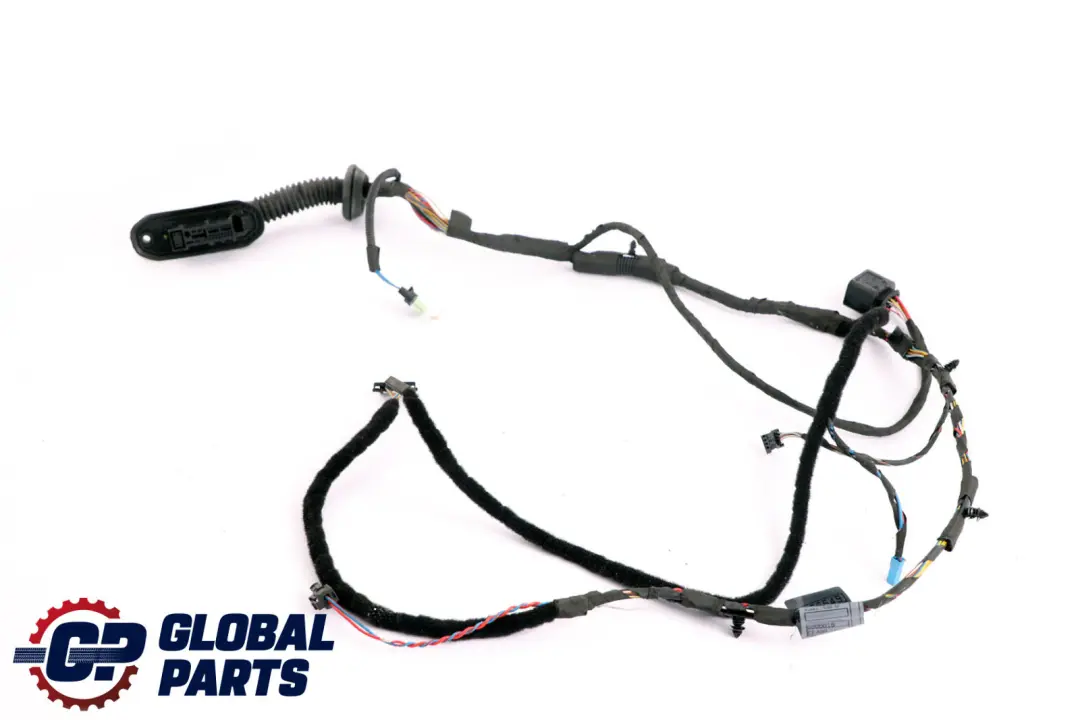 BMW E60 E61 Puerta Delantera Mazo De Cables Lado Pasajero 6966549