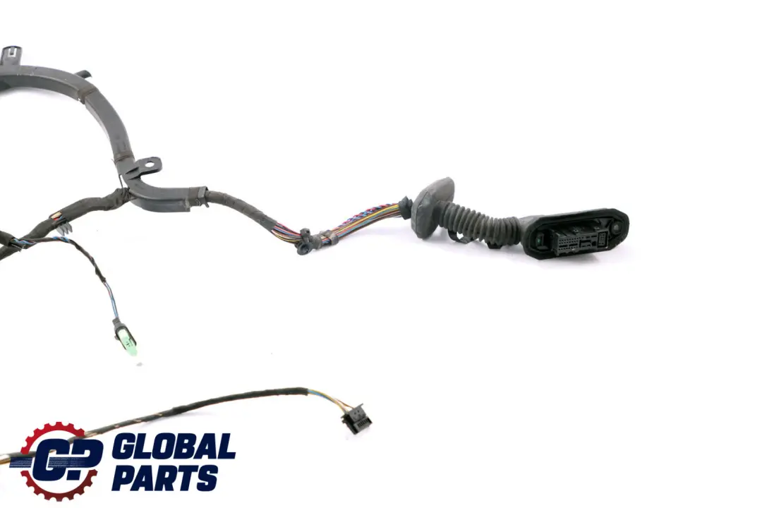 BMW 6 Series E63 E64 Wiring Loom Harness Co-Drivers 6973921