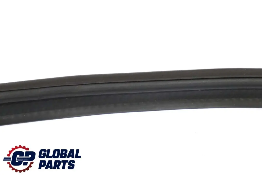 BMW X6 E71 Tapa del maletero Junta de sellado 7003105 51767003105