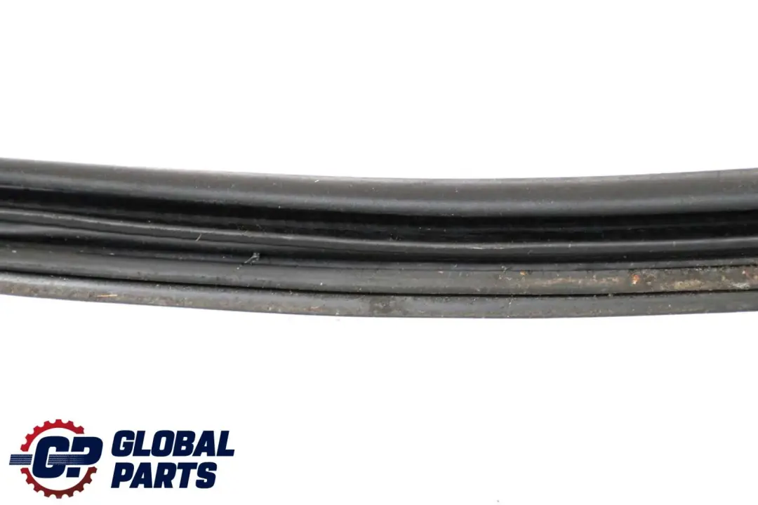 BMW X6 E71 Tapa del maletero Junta de sellado 7003105 51767003105