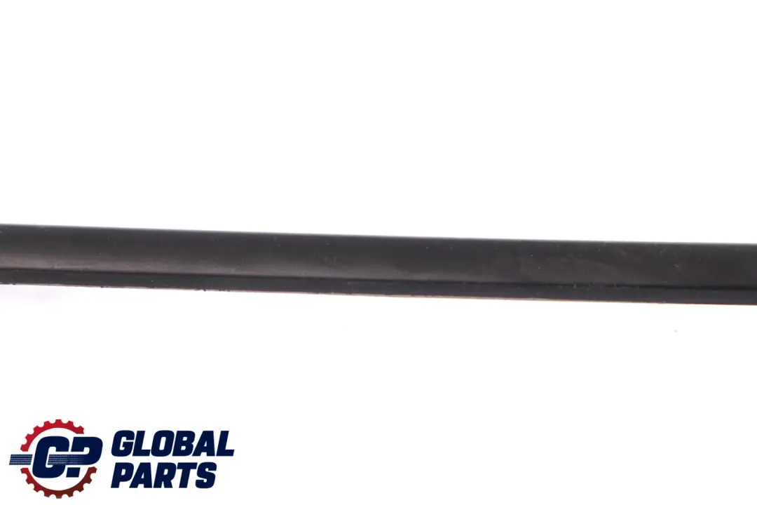 BMW X5 Series E53 Door Weatherstrip Strip Bottom Front Right O/S 7004694