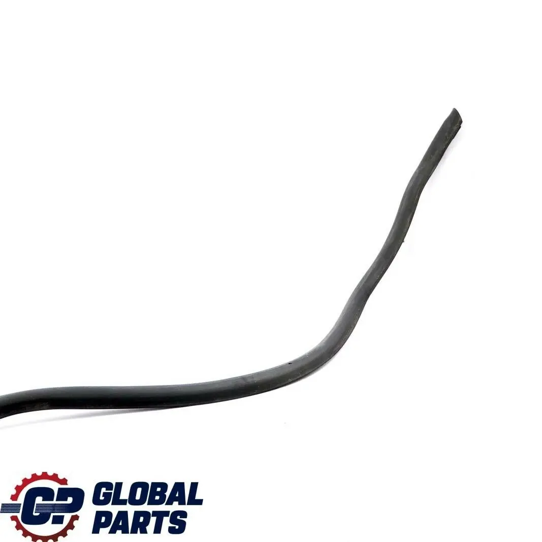 BMW X5 Series E53 Rear Left N/S Door Weatherstrip Seal Bottom Black 7004695