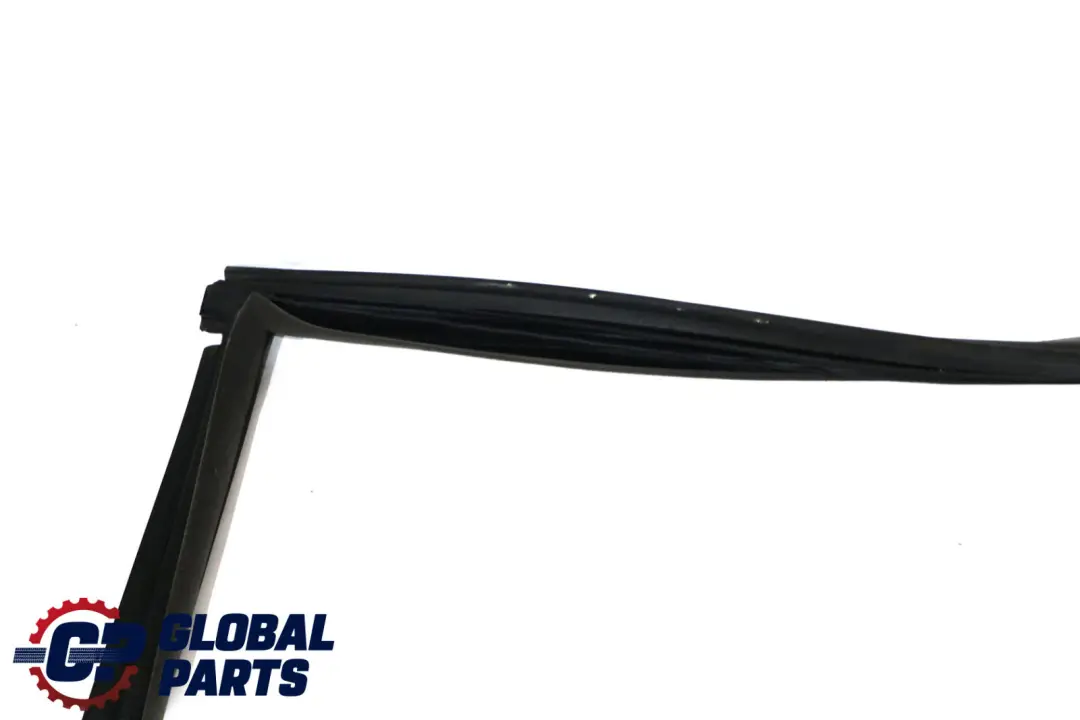 BMW E63 Joint protection bord porte avant gauche Basaltgrau