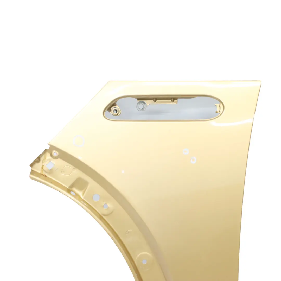 Panel lateral Mini R50 R52 R53 Guardabarros delantero izquierdo Solid Gold - 859