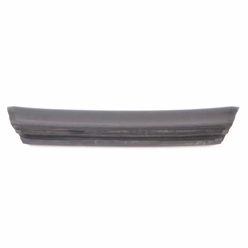 BMW Z4 E85 Channel Seal Window Guide Centre Right O/S Roof Top 7043896