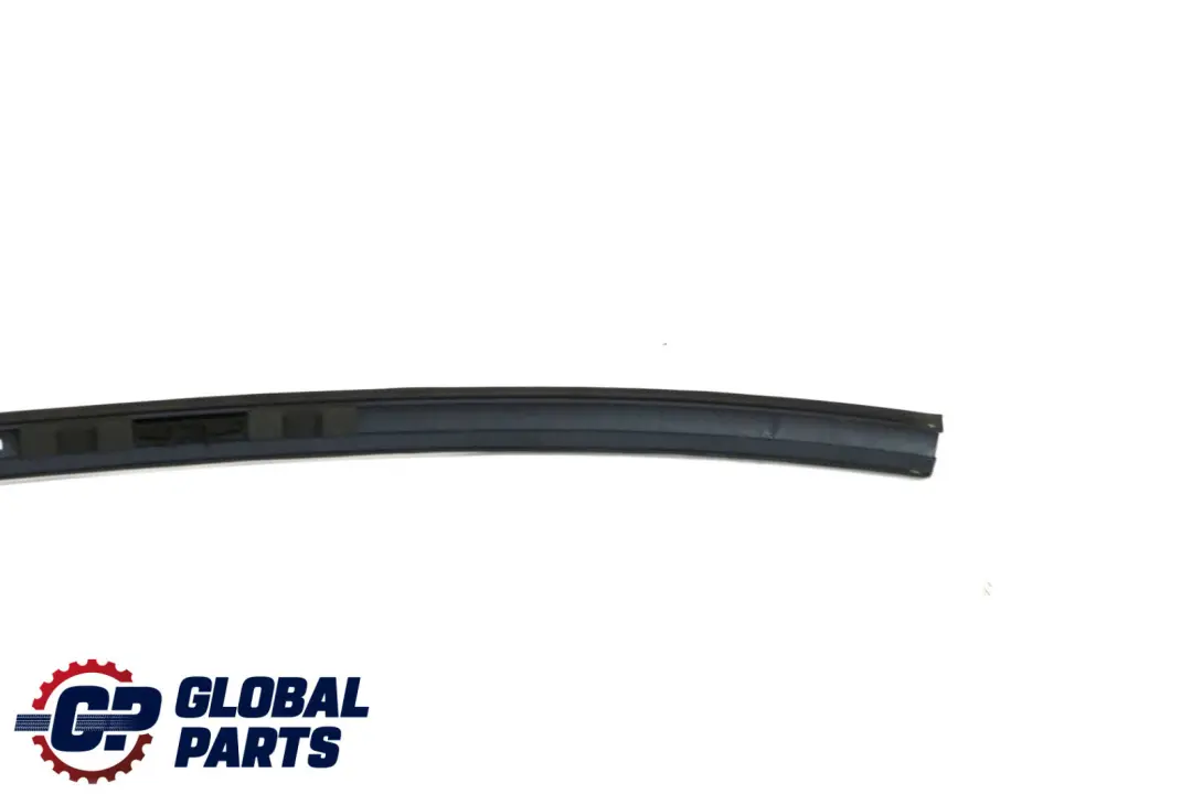 BMW 5 E60 Left Roof Moulding Railing Gutter Rail N/S Tiefseeblau Blue - A76