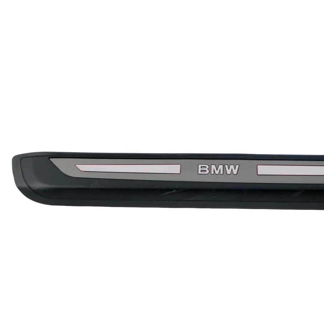 BMW 6 Series E63 E64 Light Cover Strip Entrance Interior Titan Dunkel Right O/S