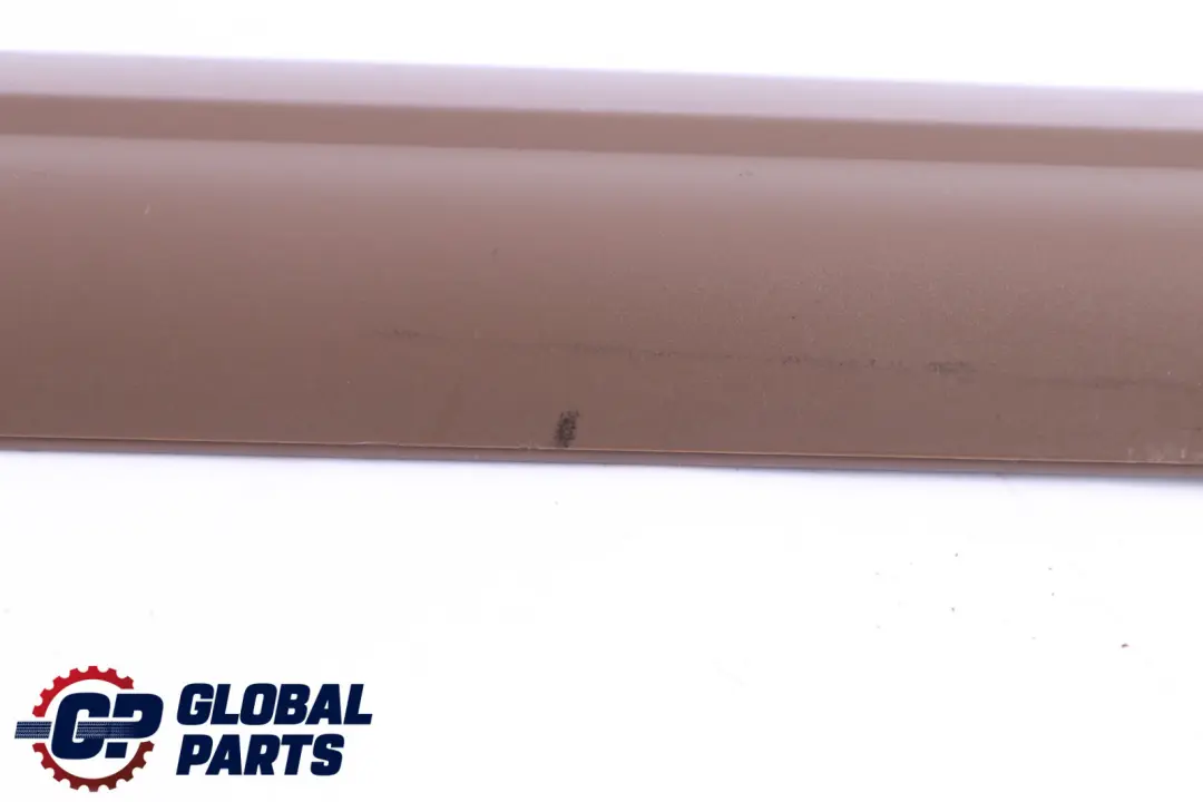 BMW 5 Series E60 E61 LCI Cover Strip Entrance Inner Front Trüffelbraun 7025007