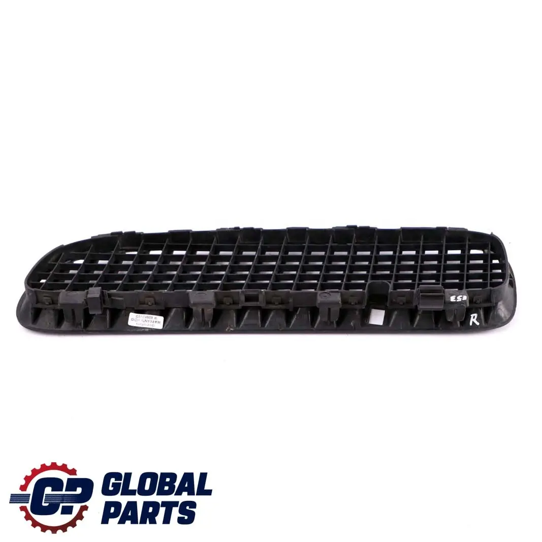 BMW X5 Series E53 Bonnet Hood Leaf Grill Grill Front Right Black 7113732