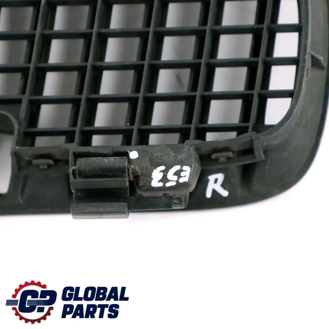 BMW X5 Series E53 Bonnet Hood Leaf Grill Grill Front Right Black 7113732