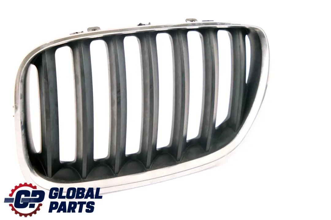 BMW X5 E53 Grille Air Inlet Right O/S Front Panel Exterior Trim Chrome 7113734