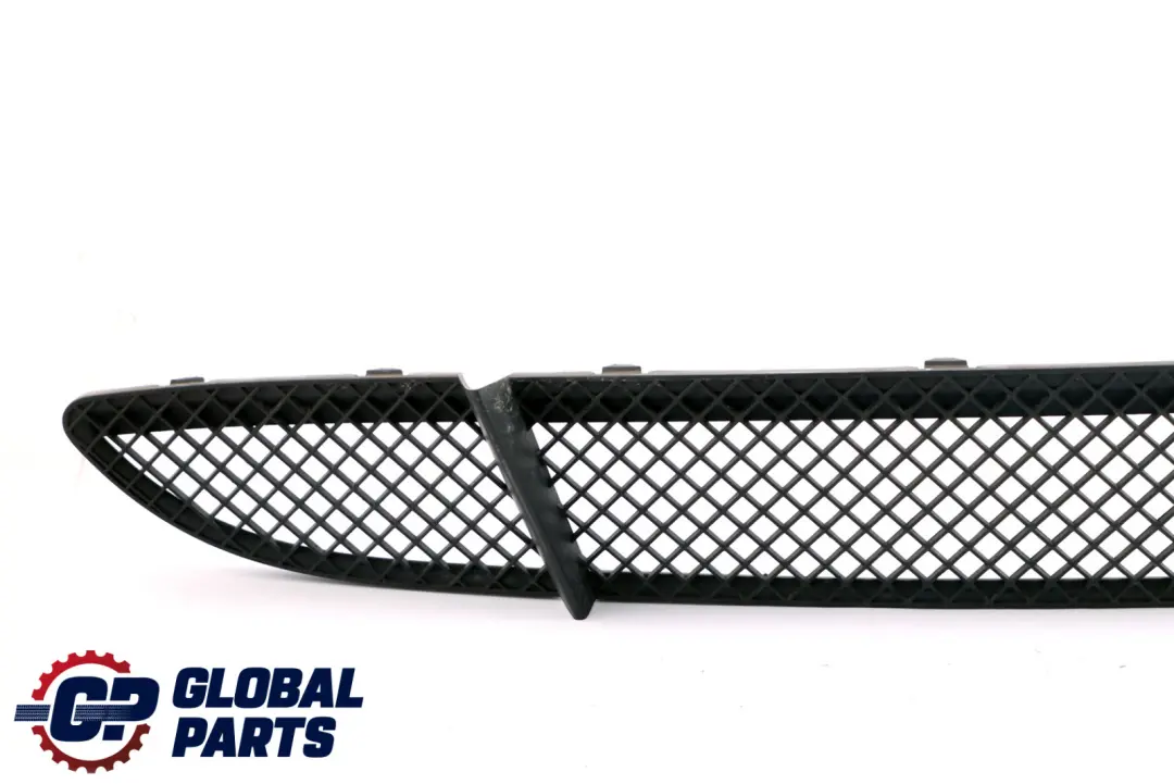 BMW 1 Series E87 Front Bumper Grille Grid Trim Panel 7118161