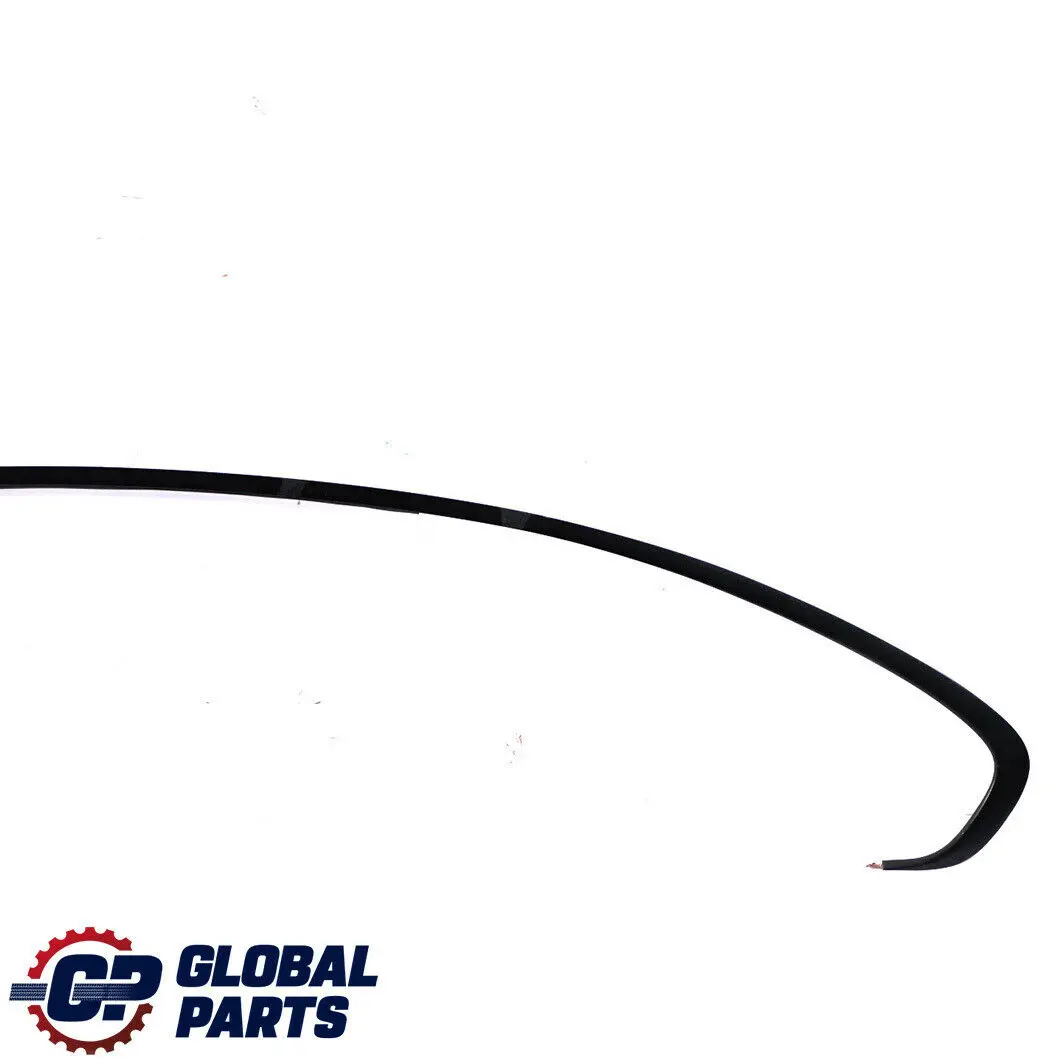 BMW 3 Series E92 E92N Roof Frame Strip Left Black Schwarz N/S 7119081