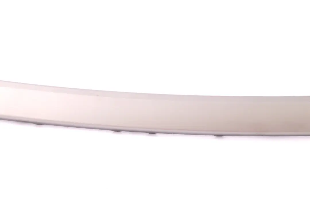 BMW 3 Series 10 E90 Decor Trim Strip Door Front Left Titan Silver N/S 7121473