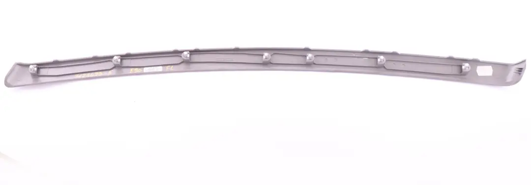 BMW 3 Series E90 E91 Decorative Trim Strip Door Front Left Titan 90 N/S 7121473