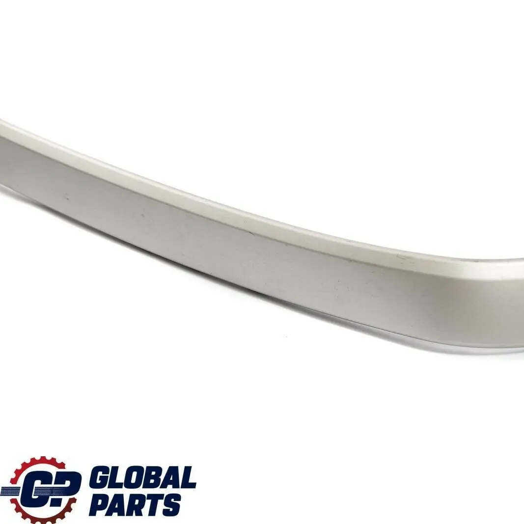 BMW E90 E91 Decorative Strip Trim Puerta Trasera Derecha Titan Silver