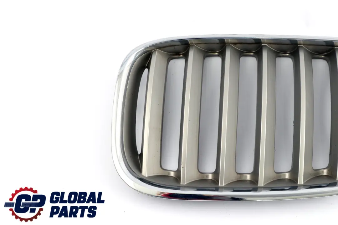 BMW X5 Series E53 Front Bumper Titan 2 Silver Grille Kidney Left N/S 7124815