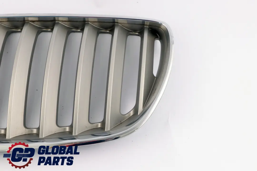 BMW X5 Series E53 Front Bumper Titan 2 Silver Grille Kidney Left N/S 7124815