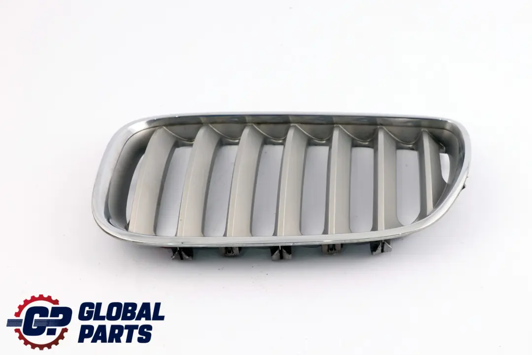 BMW X5 Series E53 Front Bumper Titan 2 Silver Grille Kidney Left N/S 7124815