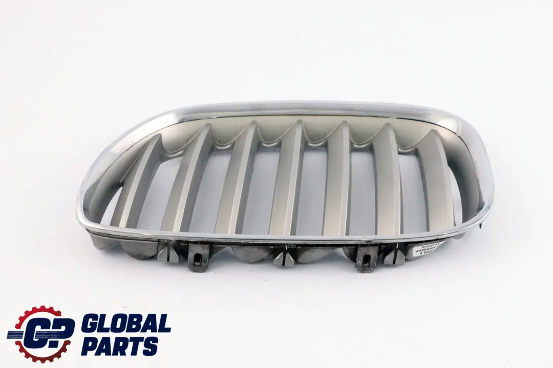 BMW X5 Series E53 Front Bumper Titan 2 Silver Grille Kidney Left N/S 7124815