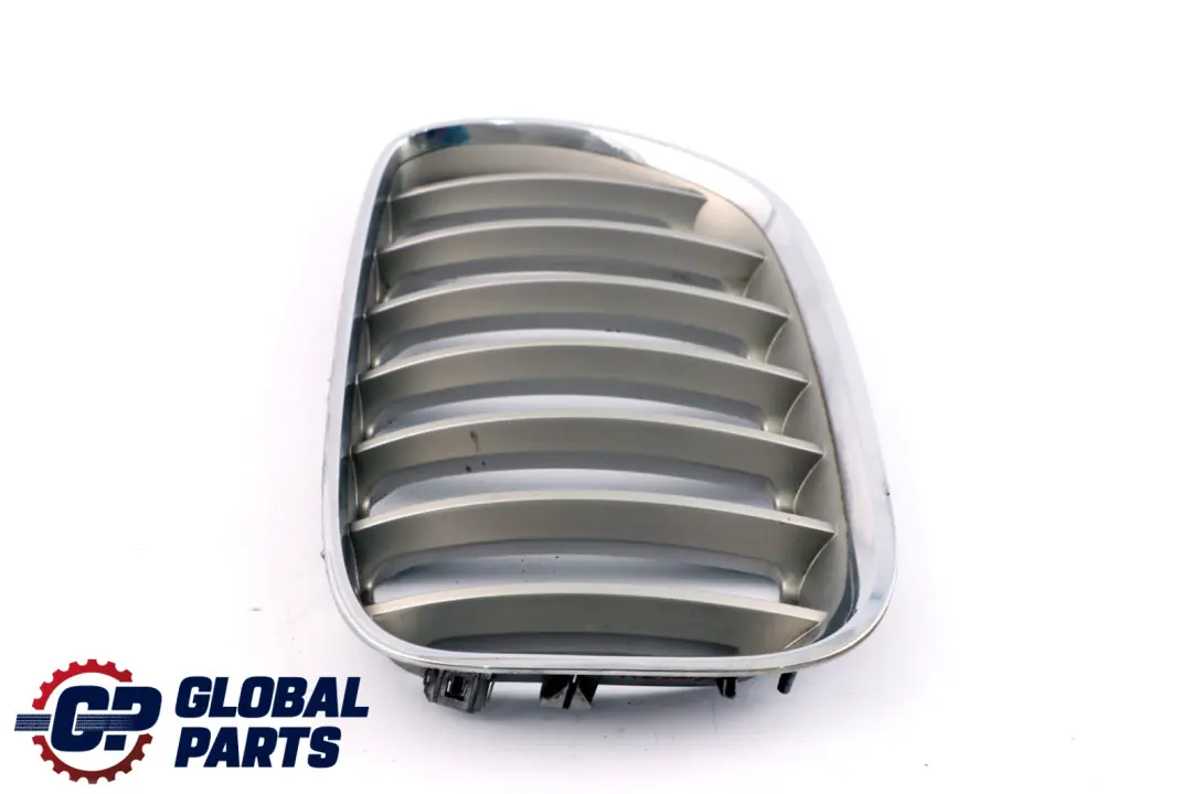 BMW X5 Series E53 Front Bumper Titan 2 Silver Grille Kidney Left N/S 7124815