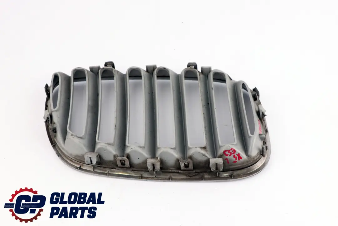BMW X5 Series E53 Front Bumper Titan 2 Silver Grille Kidney Left N/S 7124815