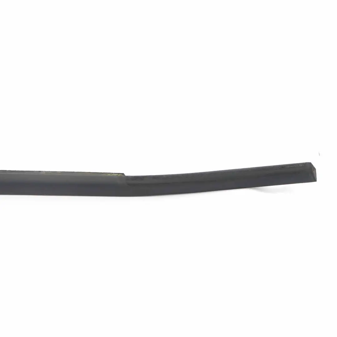 BMW X5 E70 Window Channel Cover Door Front Right O/S Black 7136966