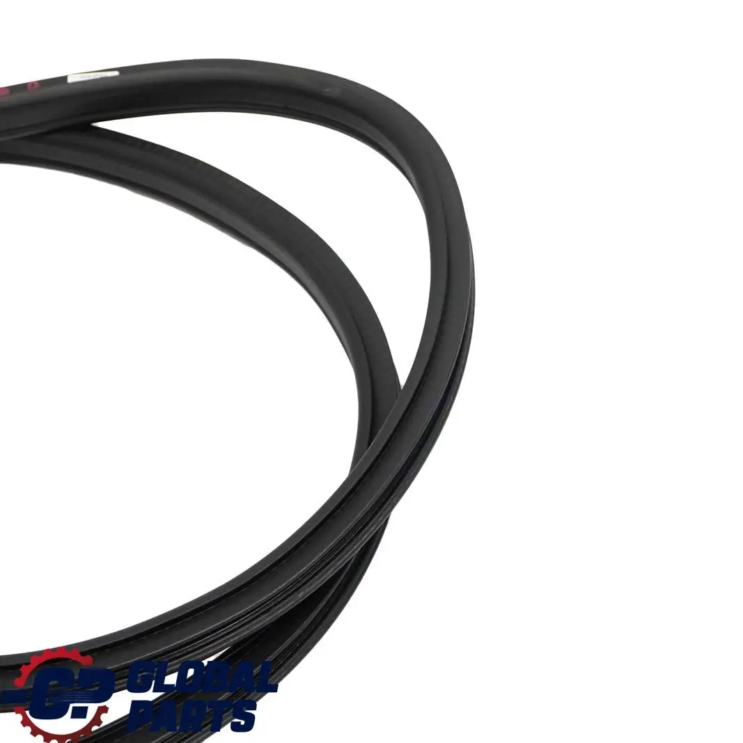 BMW 1 Series E88 Cabrio Door Weatherstrip Strip Seal Gasket Right O/S 7164994