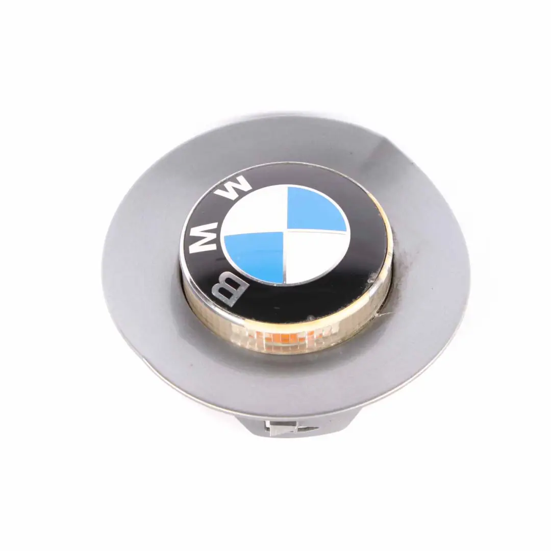 BMW Z4 E85 Turn Indicator Left Right N/O/S Additional Lamp White Silver Grey A08