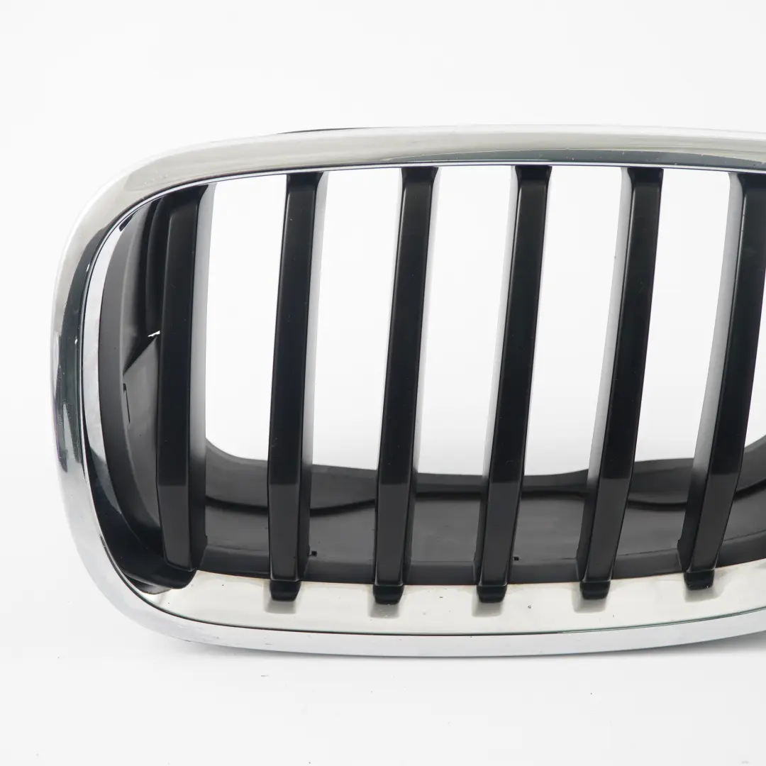 Grille BMW X6 E71 Front Bumper Grille Front Left Kidney Silver Black 7171395