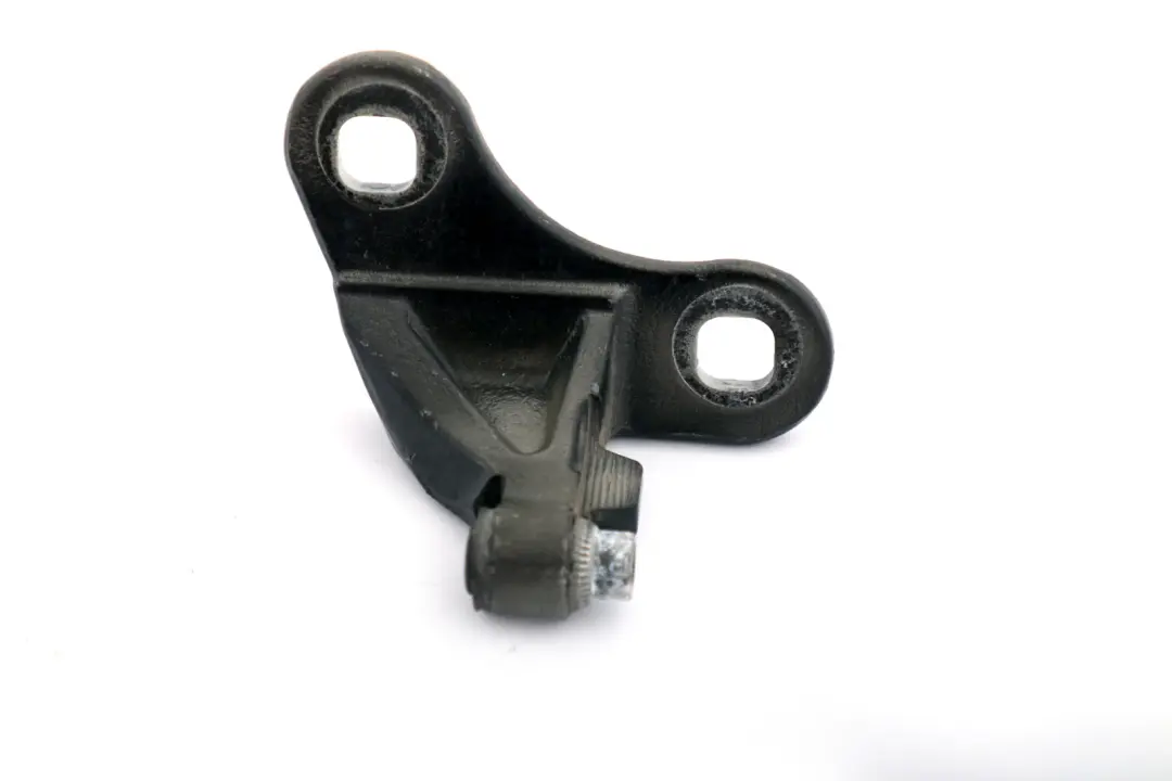 BMW Z4 Series E85 E86 Door Hinge Bottom Lower Left N/S Black 7177257