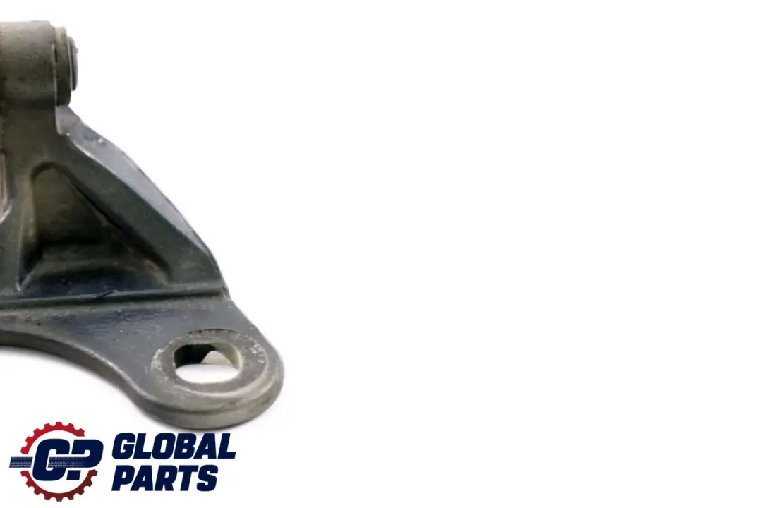 BMW Z4 Series E85 Door Hinge Bottom Lower Left N/S Toledoblau 482 Blue 7051247