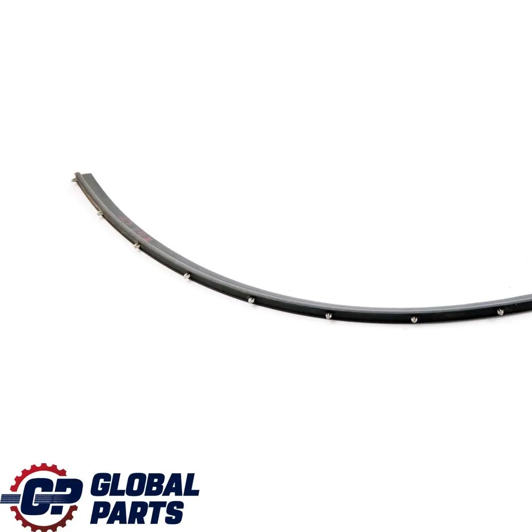 BMW 7 Series F01 Rear Seal Door Trim Gap Bottom Lower Left Right N/O/S 7178017