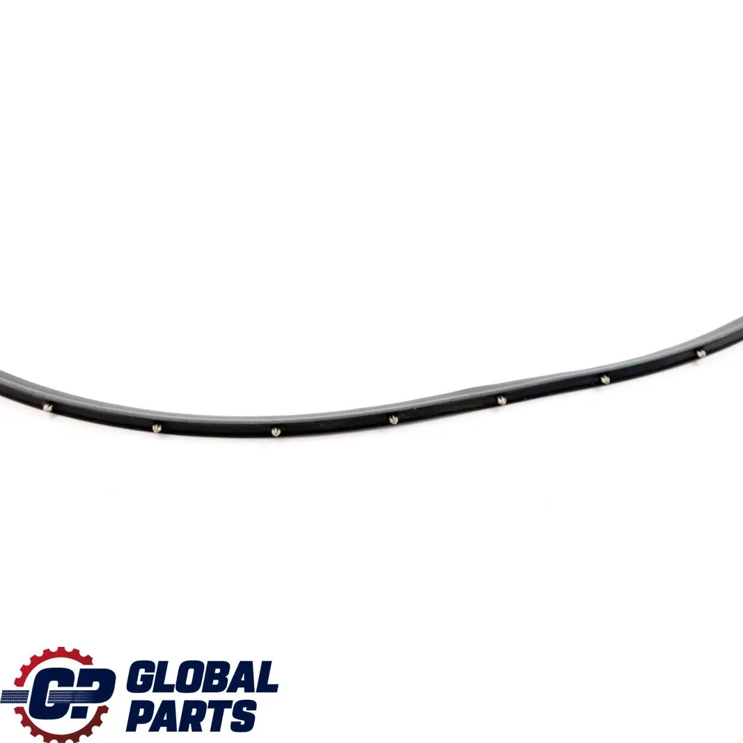 BMW 7 Series F01 Rear Seal Door Trim Gap Bottom Lower Left Right N/O/S 7178017