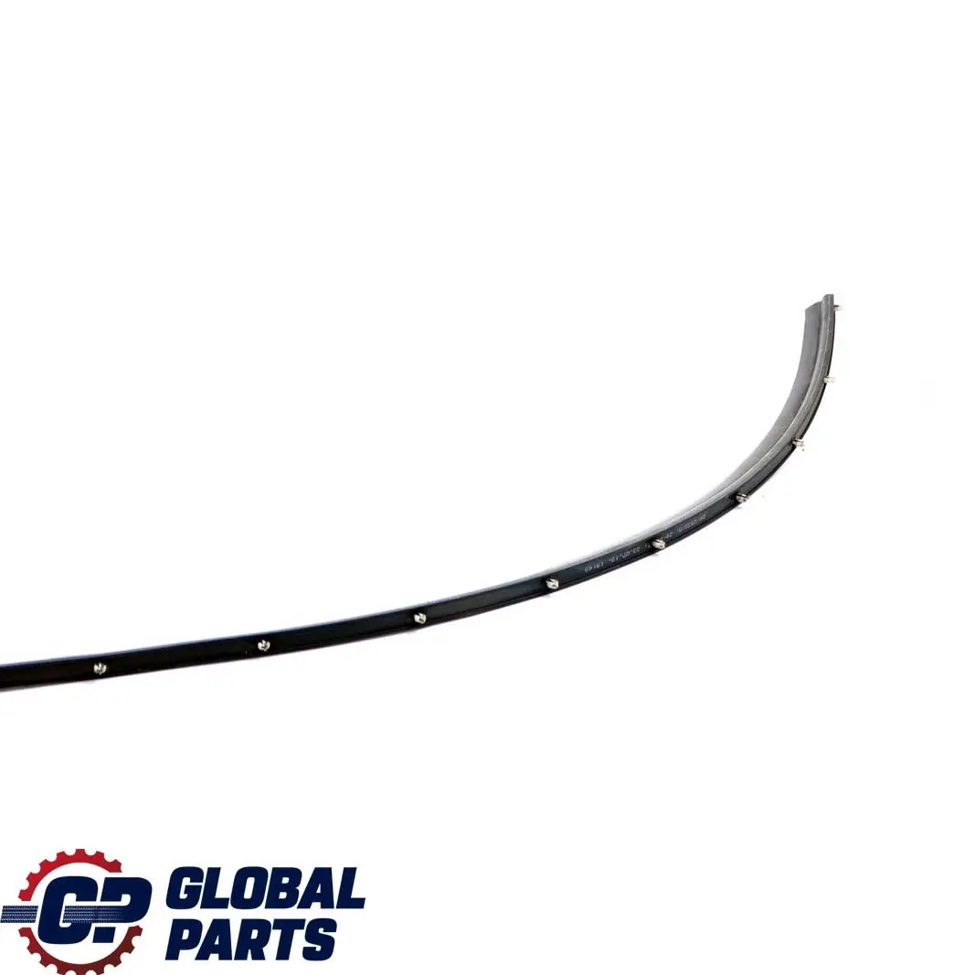 BMW 7 Series F01 Rear Seal Door Trim Gap Bottom Lower Left Right N/O/S 7178017