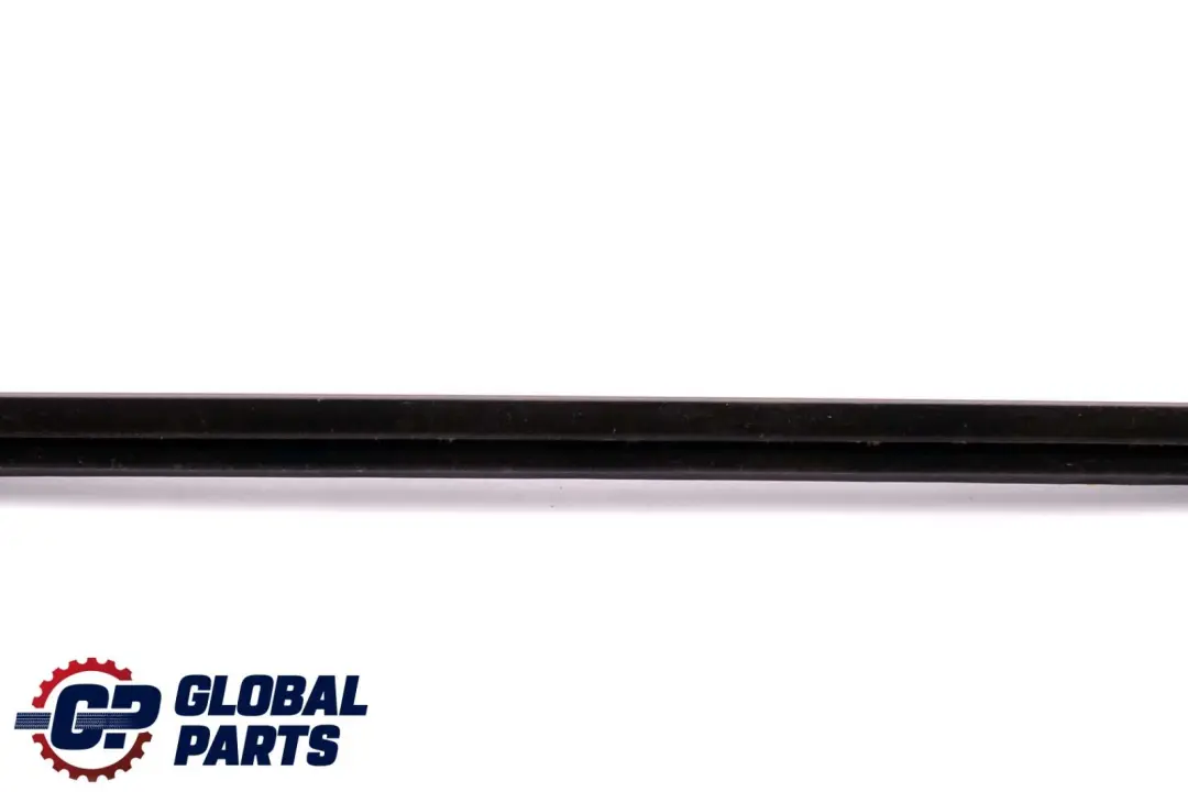 BMW X6 Series E71 Rear Right Door O/S Inner Weatherstrip Sealing Trim 7179404