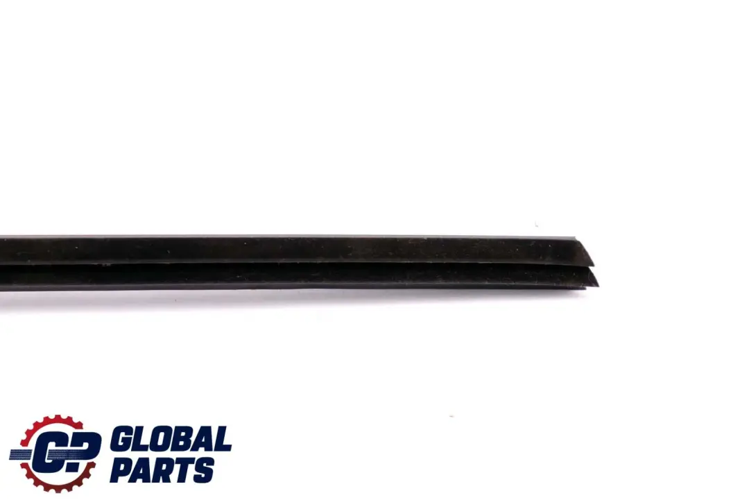 BMW X6 Series E71 Rear Right Door O/S Inner Weatherstrip Sealing Trim 7179404